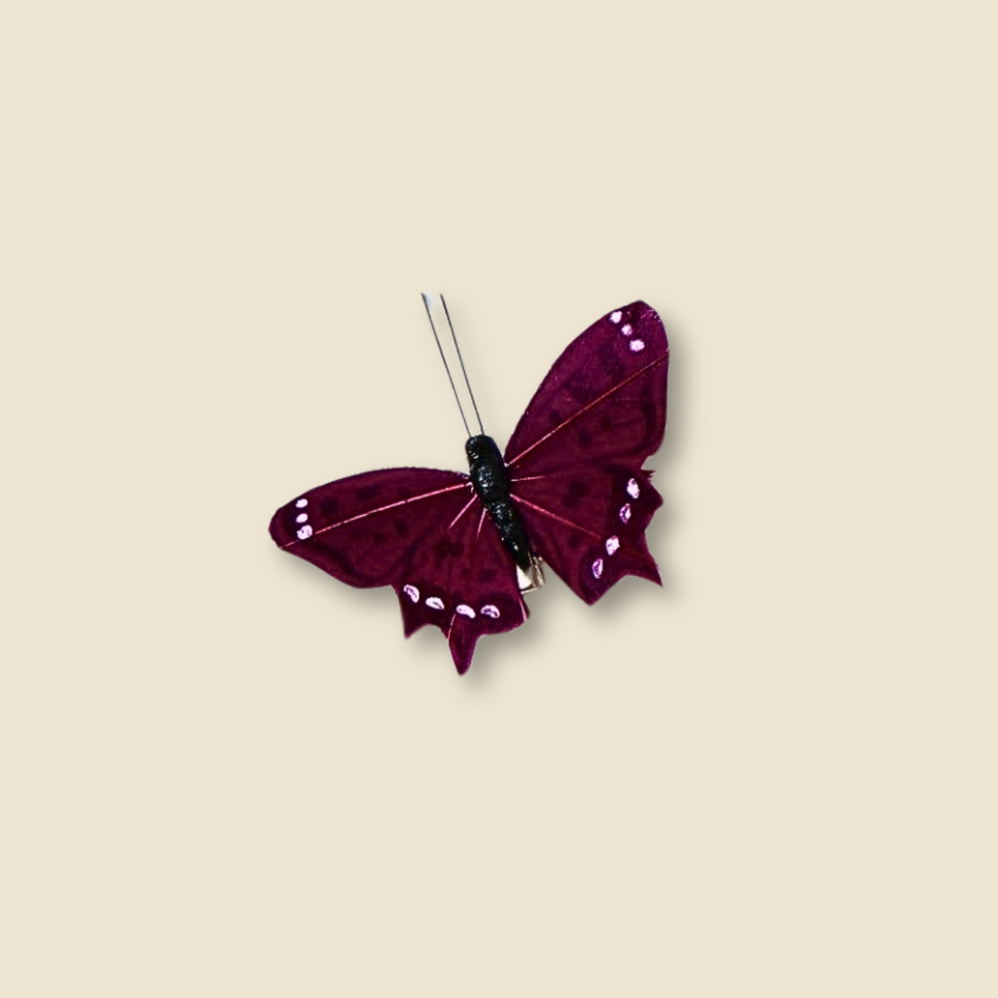 Bunte Schmetterling