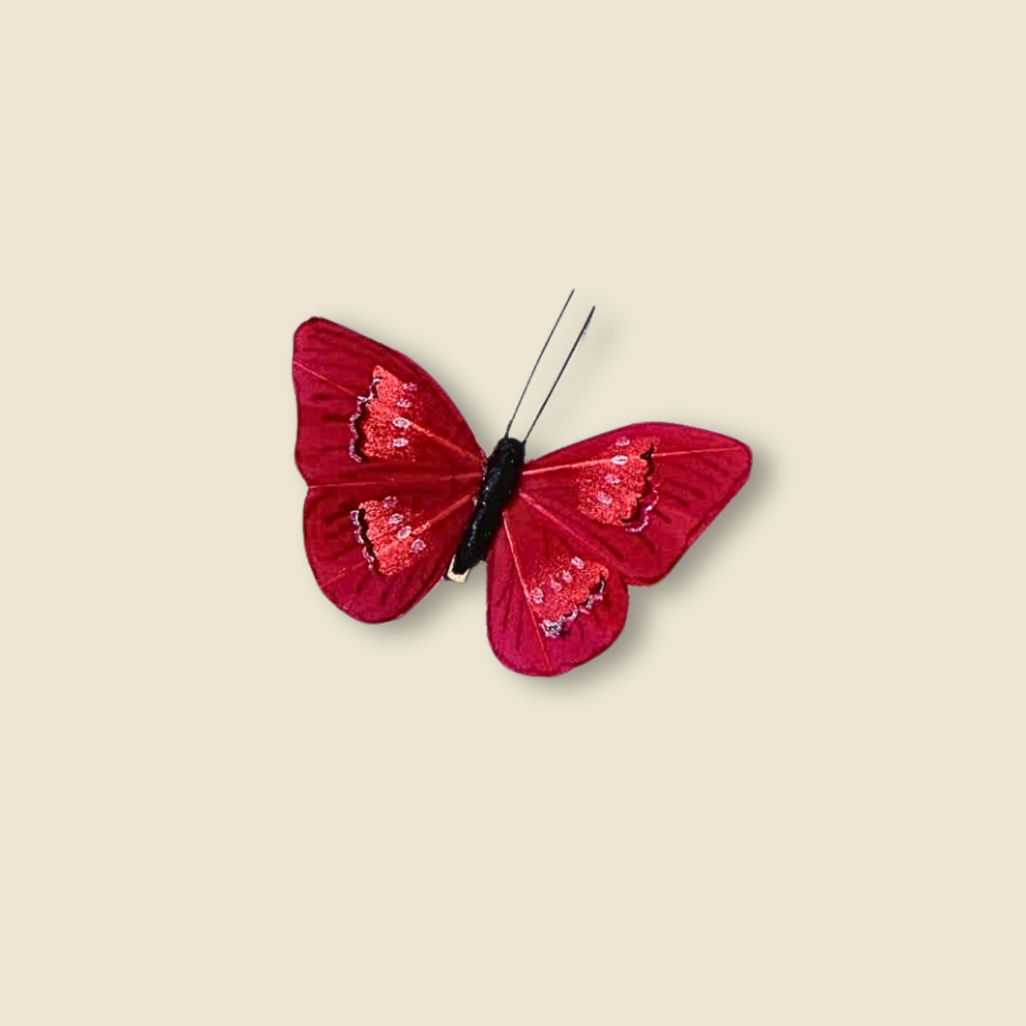 Bunte Schmetterling