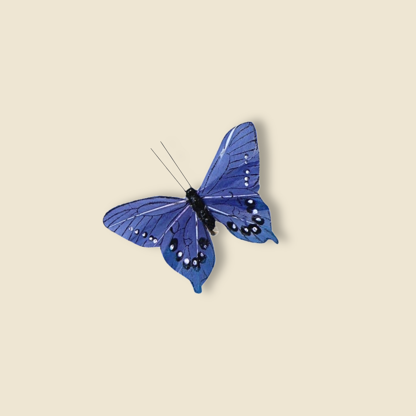 Bunte Schmetterling