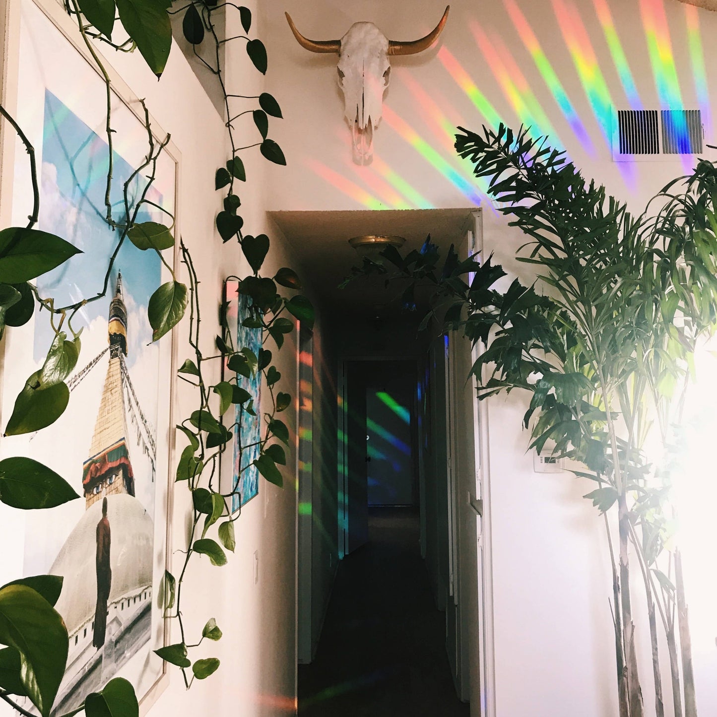 Happy Whatever - Rainbowmaker - Fenstersticker/Karte - Tukan