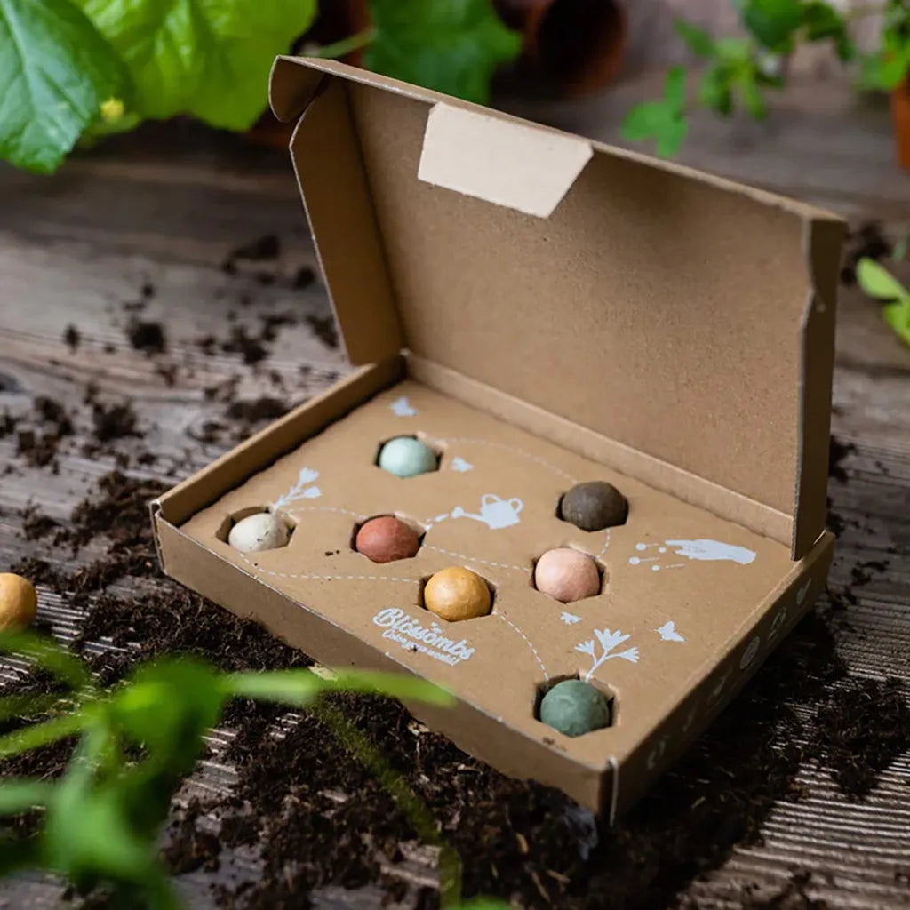 Blossombs Blumenmurmel Geschenkbox small