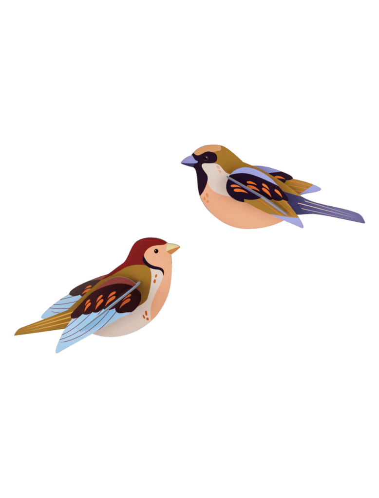 Studio Roof Spatzenpaar „Sparrows“