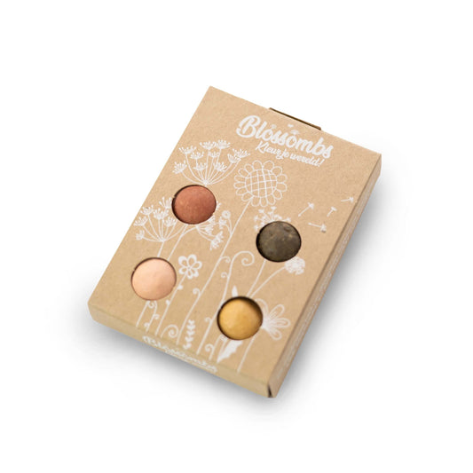 Blossombs Blumenmurmeln Geschenkbox mini