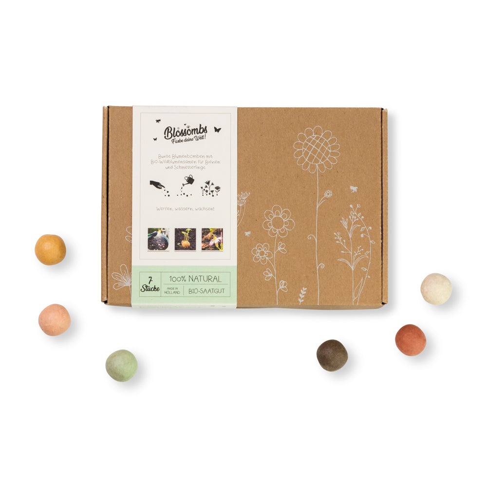 Blossombs Blumenmurmel Geschenkbox small