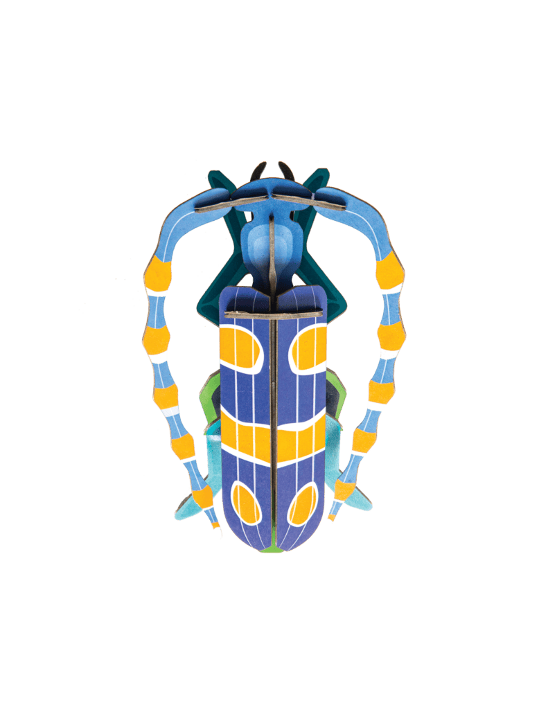 Studio Roof - Wanddekoration aus Pappe „Rosalia Beetle“