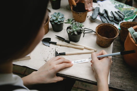 Gärtnern im März – das steht jetzt an.