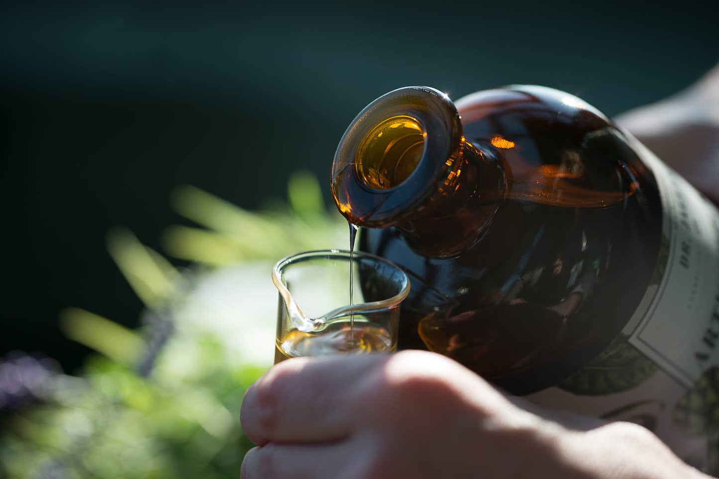 Dr. Jaglas Schnapps Gläser (+ Design Geschenkkarton), 6x2cl