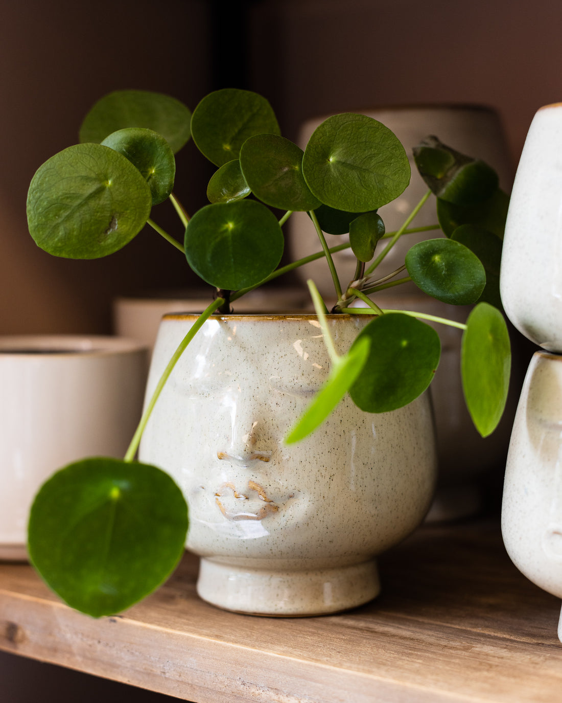 Madam Stoltz Übertopf Gesicht groß