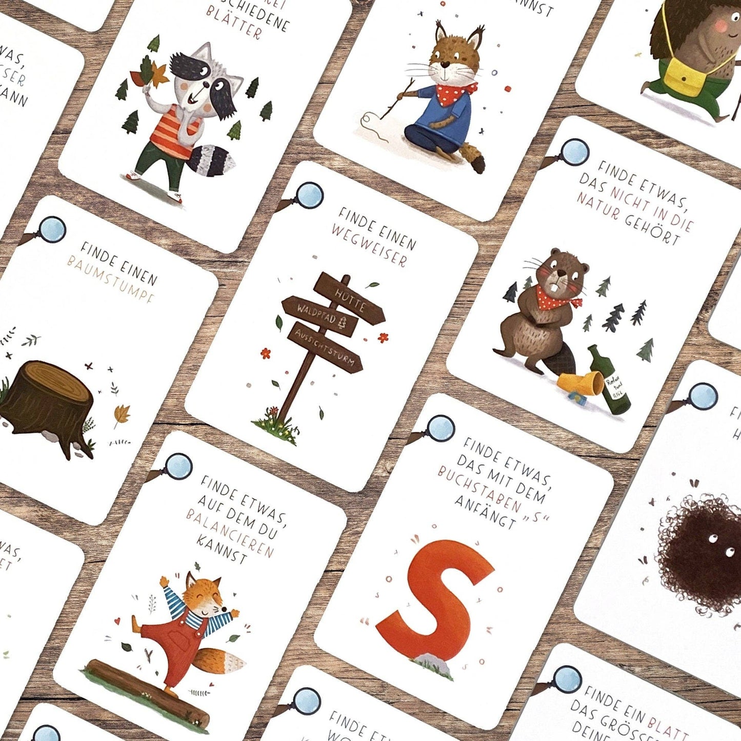 Rüsselfuchs - „Suchen & Finden“ - Wald-Schatzsuche