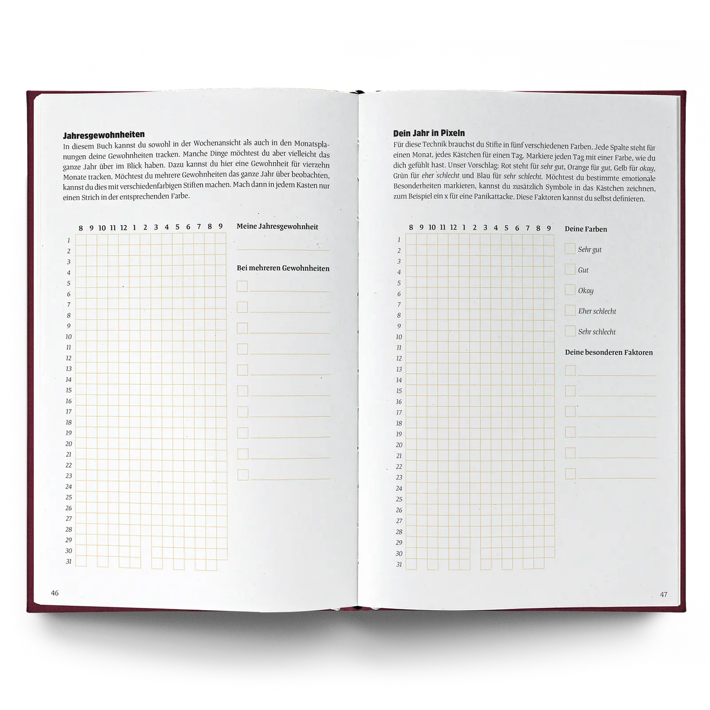 Ein Guter Plan - Achtsamkeitskalender EDU 25/26