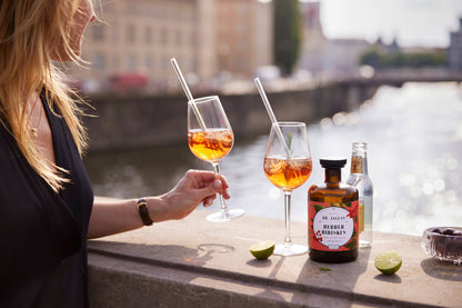 Dr. Jaglas „Herber Hibiskus“ alkoholfreier Aperitif Spirituose