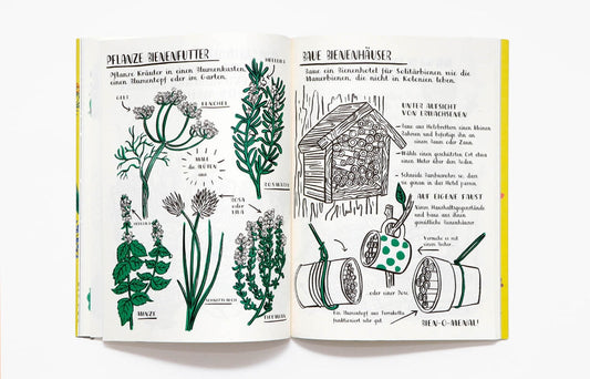 Laurence King „Mein Naturbuch“