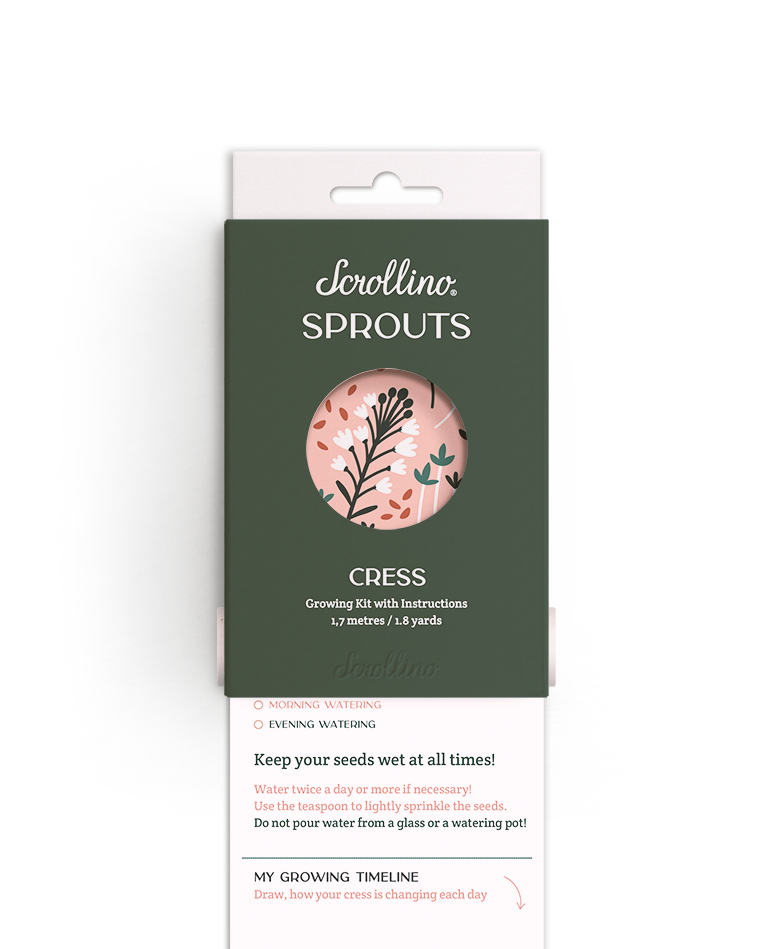 Scrollino Mal-/Bastelbox