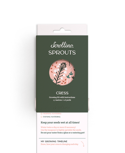 Scrollino Mal-/Bastelbox