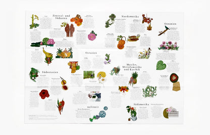 Laurence King "In 50 Pflanzen um die Welt"