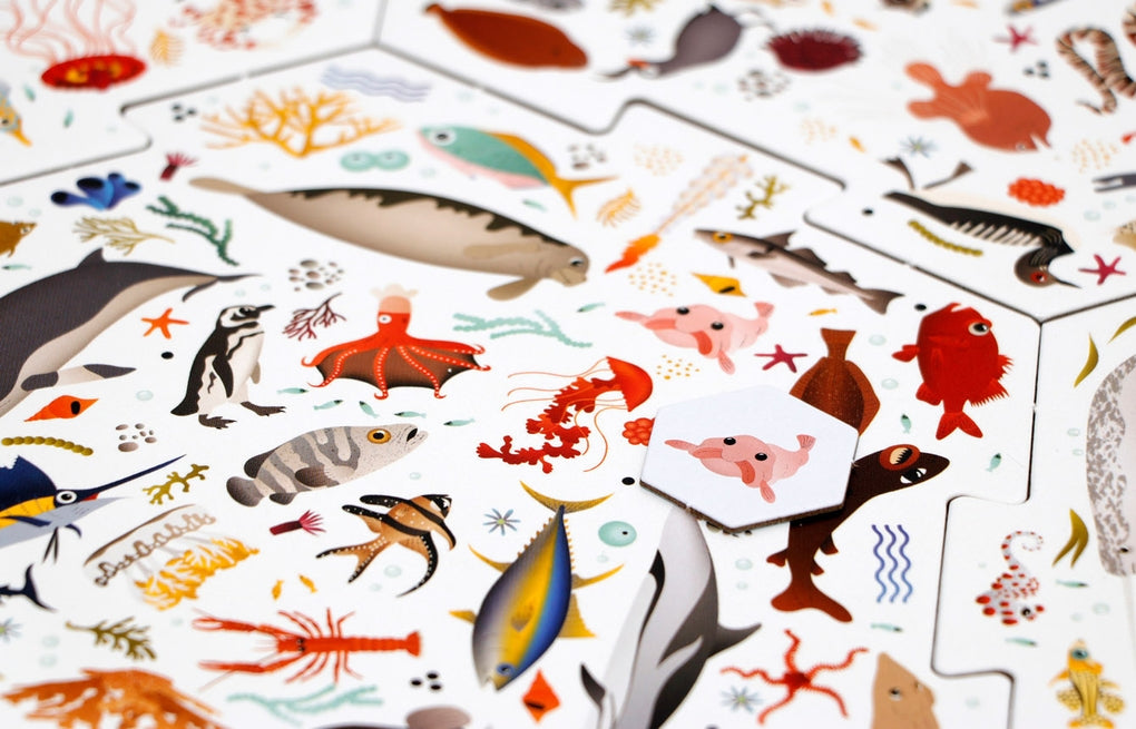 Laurence King "Erste*r sein! Meere"