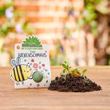 Die Stadtgärtner Blumenmurmel einzeln
